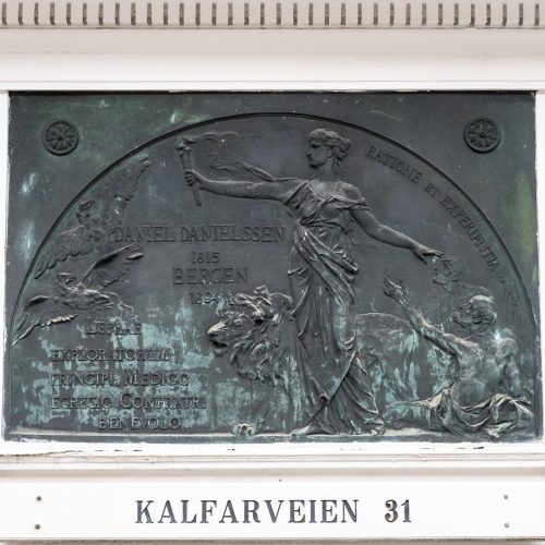 Memorial plaque for Daniel C. Danielssen. Photo: Bergen City Museum.